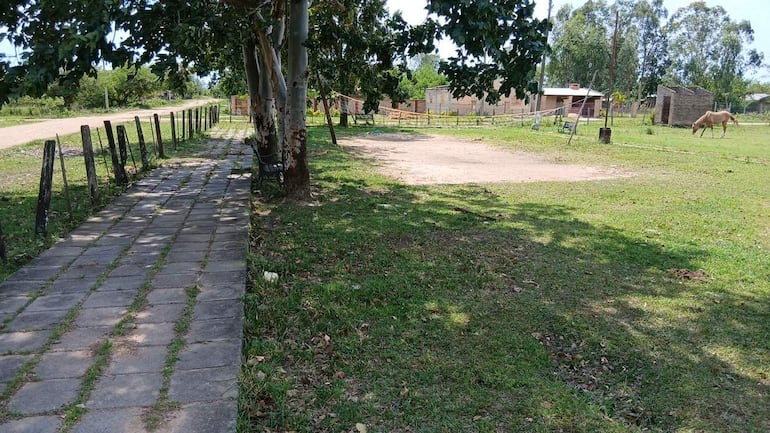Caballo pastando en césped verde en un ambiente rural con sendero de piedras y viviendas al fondo.
