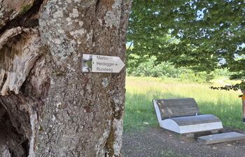 Señal del sendero Martin-Heidegger, en las cercanías de la famosa cabaña del alemán Martin Heidegger en Todtnauberg, en la Selva Negra alemana, donde desarrolló parte importante de su pensamiento filosófico. El filósofo alemán Martin Heidegger, de cuya muerte se cumplen este martes 50 años, ha despertado a través del tiempo tanto fascinación, por la radicalidad de su pensamiento, como repugnancia, por su compromiso con el nazismo, que para algunos fue sólo un error producto de la ingenuidad política y, para otros, algo consustancial a su obra.