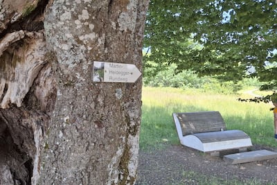 Señal del sendero Martin-Heidegger, en las cercanías de la famosa cabaña del alemán Martin Heidegger en Todtnauberg, en la Selva Negra alemana, donde desarrolló parte importante de su pensamiento filosófico. El filósofo alemán Martin Heidegger, de cuya muerte se cumplen este martes 50 años, ha despertado a través del tiempo tanto fascinación, por la radicalidad de su pensamiento, como repugnancia, por su compromiso con el nazismo, que para algunos fue sólo un error producto de la ingenuidad política y, para otros, algo consustancial a su obra.