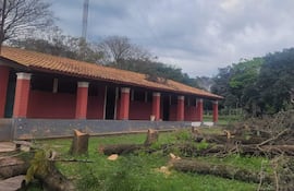 Los árboles fueron derribados por peligro de derrumbe sobre la infraestructura edilicia explicaron desde la institución