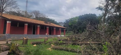 Los árboles fueron derribados por peligro de derrumbe sobre la infraestructura edilicia explicaron desde la institución