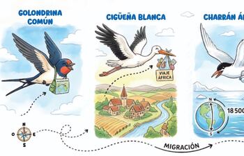 Día Mundial de las
Aves Migratorias