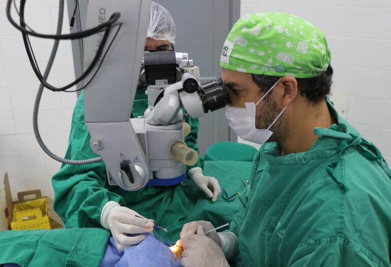 Momento en el que los médicos de Clínicas realizan la cirugía de trasplante.