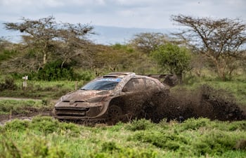 El Rally Safari de Kenia tiene nuevo líder, el japonés Takamoto Katsuta (Toyota GR Yaris Rally1).
