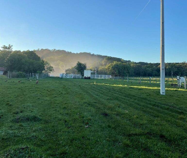 Piden que el horno donde se elabora carbón sea trasladado fuera de la comunidad de Costa Pucú, en Mbuyapey.