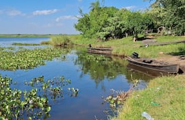 Sector pesquero de Ayolas afectados por bajante pronunciada y algas en el río Paraná.
