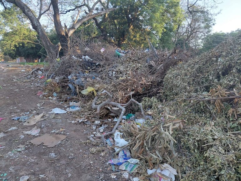 Montones de basura y desechos orgánicos en un área semirrural sin personas visibles, reclamando limpieza en el entorno.