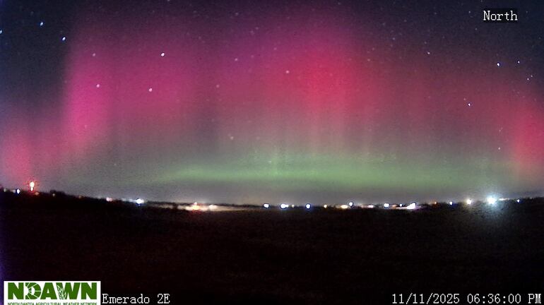 Captura de pantalla cedida por la Red Meteorológica Agrícola de Dakota del Norte (Ndawn) que muestra la aurora boreal aparecida el 11 de noviembre de 2025 en el norte del estado de Dakota del Norte (EE.UU).