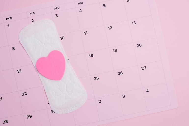 Ciclo menstrual y excitación: por qué algunas personas sienten más deseo cerca de la ovulación.