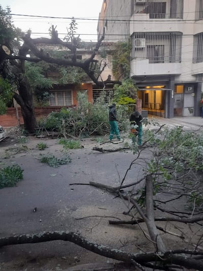 Dos trabajadores en ropa de trabajo limpian ramas caídas en una calle con un edificio de apartamentos al fondo.