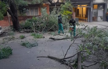 Dos trabajadores en ropa de trabajo limpian ramas caídas en una calle con un edificio de apartamentos al fondo.