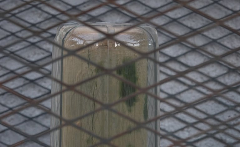 Filtros de agua son rápidamente sobrepasados por la turbiedad del agua, reclaman.