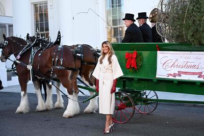 La primera dama de Estados Unidos, Melania Trump, da la bienvenida al árbol de Navidad oficial de la Casa Blanca.