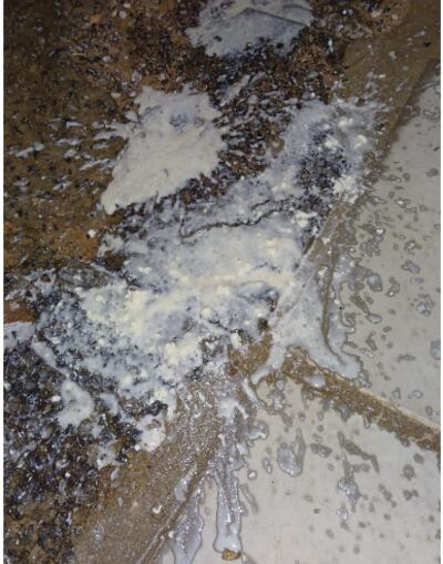 Denuncian que alumnos fueron obligados a consumir leche en mal estado.