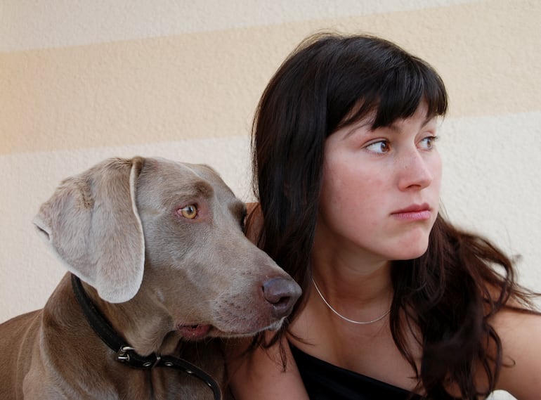 ¿Los perros copian a sus dueños?