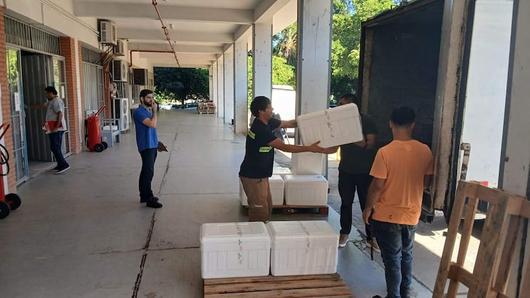 Descarga de medicamentos en el Parque Sanitario del IPS. 