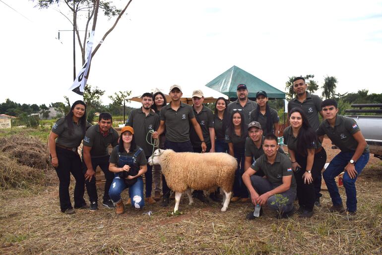 La producción ovina es una alternativa para generar ingresos.