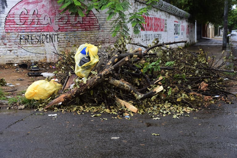 Esquina de Monseñor Trejo de Sanabria y mayor José de Jesús Martínez, donde a diario, personas desconocidas descargan basuras aprovechando un terreno baldío.