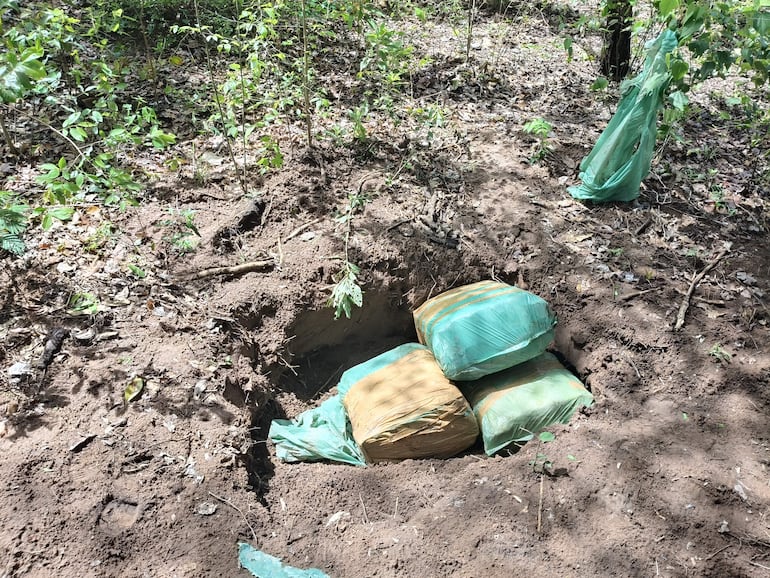 Fardos envueltos en plástico verde y marrón reposan en un hoyo en un área boscosa sin presencia de personas.
