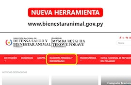 EL portal de la Dirección Nacional de Defensa, Salud y Bienestar Animal ya cuenta con una sección para mascotas perdidas y encontradas.