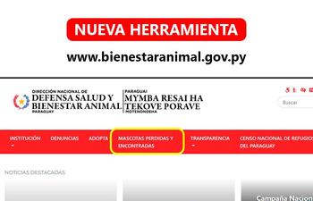 EL portal de la Dirección Nacional de Defensa, Salud y Bienestar Animal ya cuenta con una sección para mascotas perdidas y encontradas.