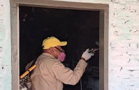 El Servicio Nacional de Erradicación del Paludismo (Senepa) realiza visitas a distintos barrios de ciudades del departamento de Cordillera con el objetivo de intensificar las acciones de prevención y control del dengue.