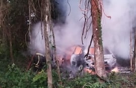 Bombero con uniforme negro y amarillo apaga fuego en automóvil quemado rodeado de árboles verdes.