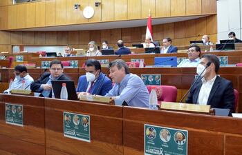 Autoridades de Hacienda, Petropar y Tributación respondieron las consultas de los congresistas.