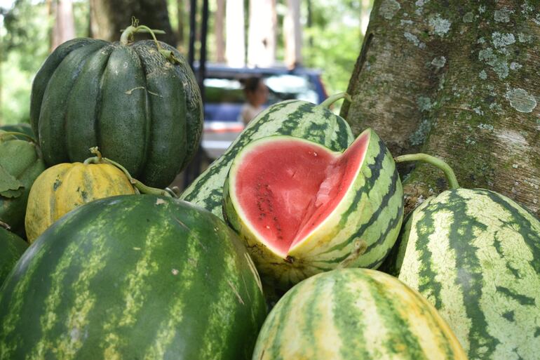 Dulzura y frescura de las sandías de Paso Güembé fueron motivo de celebración
