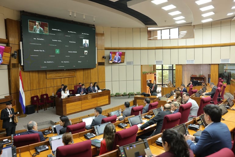 Claudia Centurión, en reunión de la comisión de Hacienda y Presupuesto del Senado.