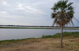 Atravesar el río se denomina el nuevo proyecto de la cineasta Paz Encina.