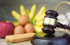 Imagen ilustrativa: juicio por alimentos y prestación alimenticia.