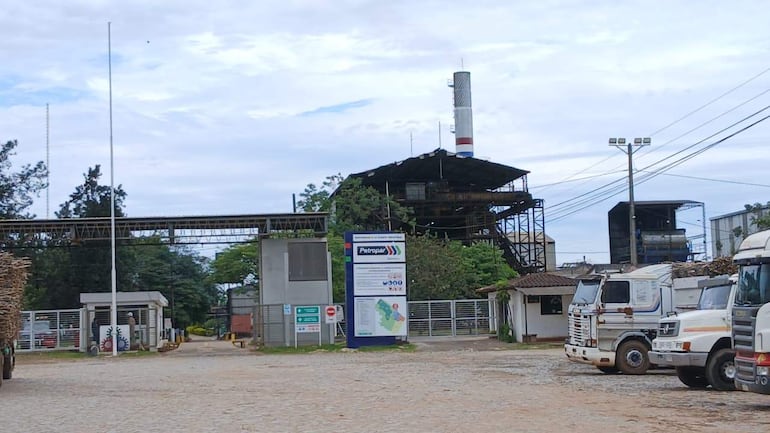 Cañicultores exigen a Petropar soluciones ante falta de capacidad para procesar toda la producción en Troche.