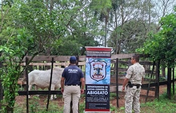Dos policías en un corral, uno vestido de negro y otro de camuflaje, observan una vaca blanca rodeada de vegetación.