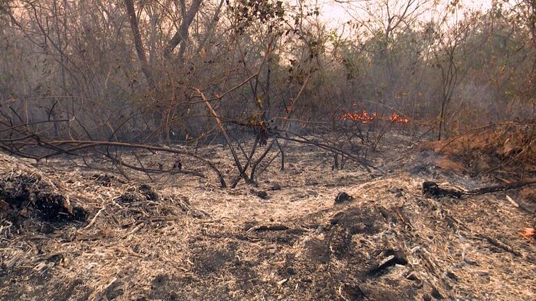 Condiciones del terreno en el Chaco.
