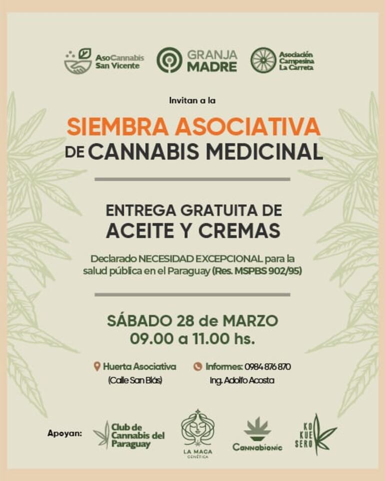 Invitan a la siembra asociativa de cannabis medicinal.