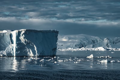 Grandes icebergs flotan en el océano Antártico. Imagen ilustrativa.
