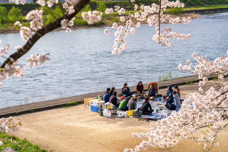 Ruta de los samuráis: un viaje al pasado en Kakunodate, Japón - Viajes