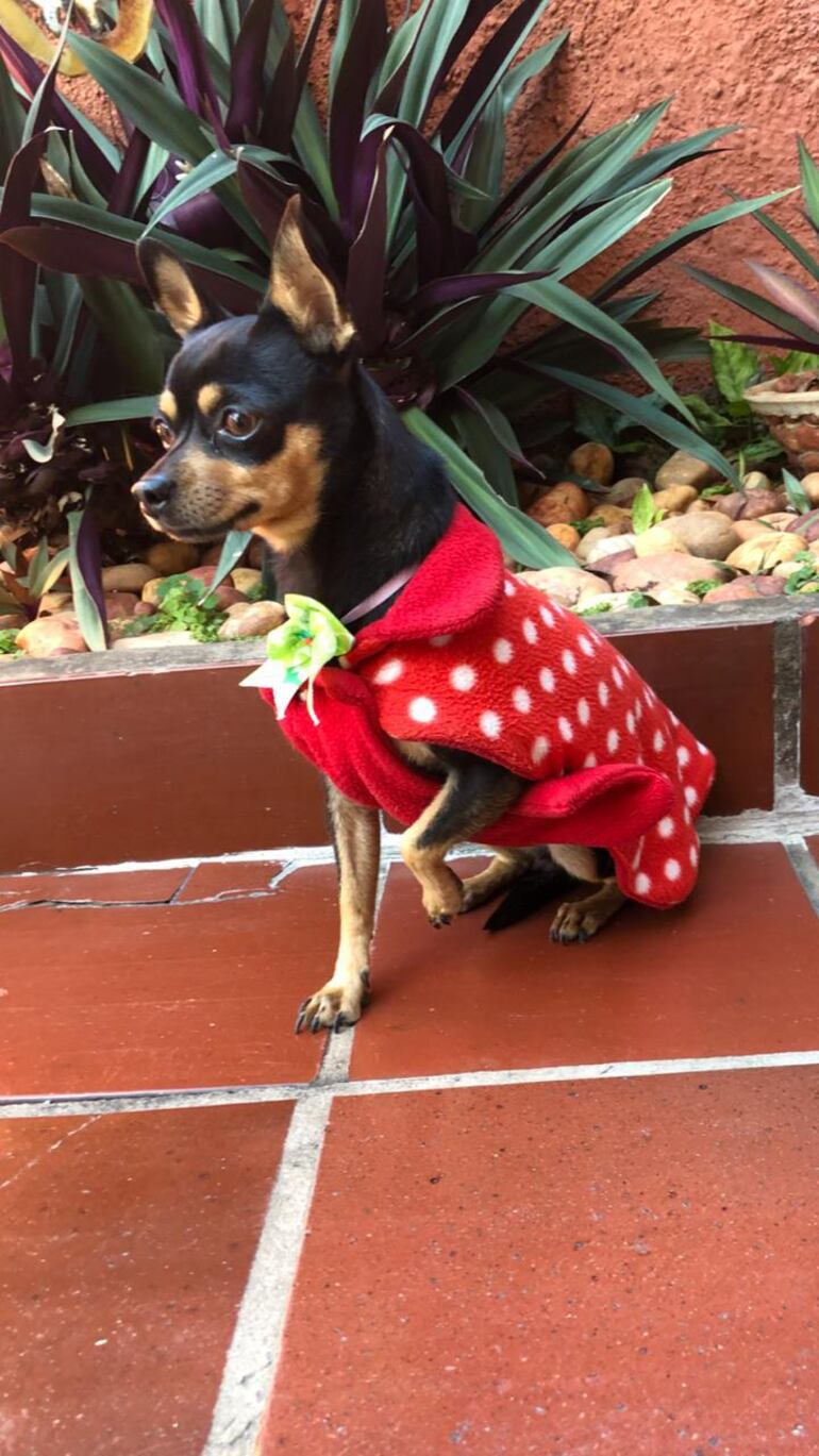 /pf/resources/images/abc-placeholder.png?d=2395