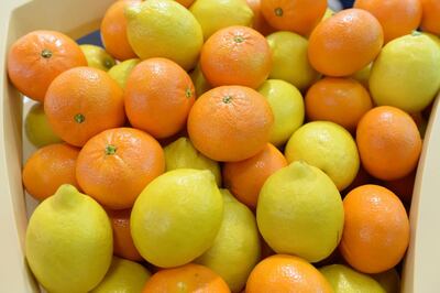 /pf/resources/images/abc-placeholder.png?d=2382