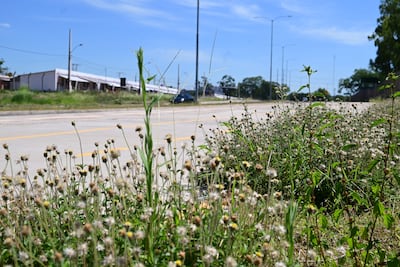 Meteorología anuncia una jornada calurosa y con alta probabilidad de lluvias.