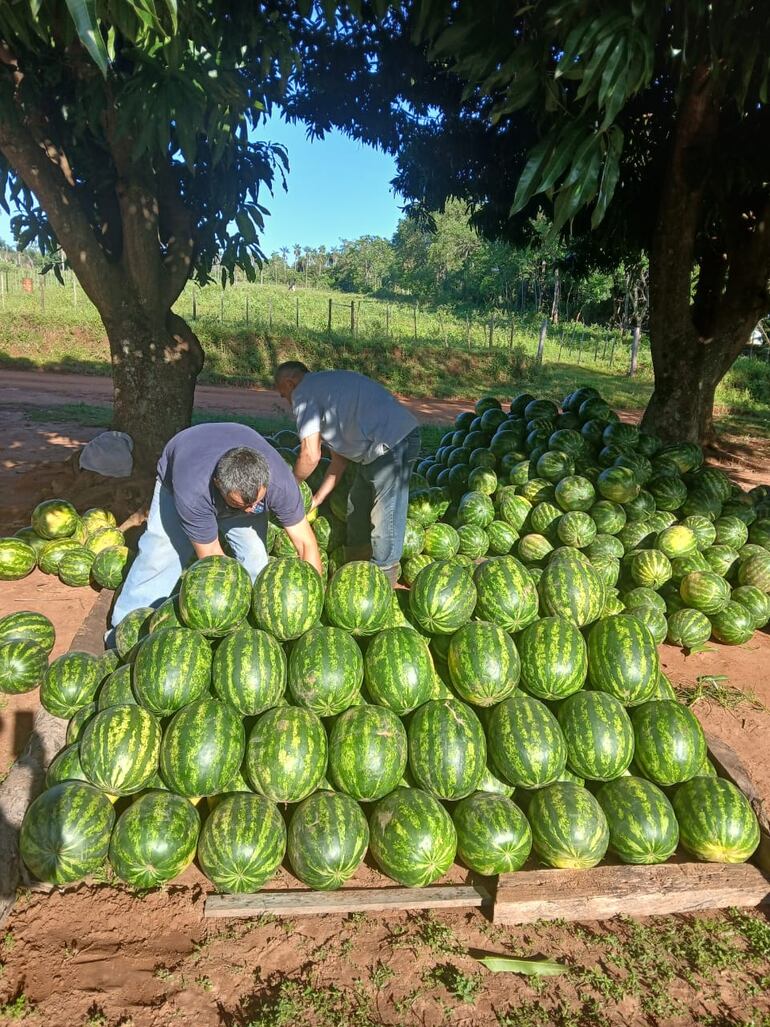Los productores son el corazón del desarrollo agrícola en Altos.