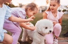 Visitas de Semana Santa sin estrés: cómo ayudar a tu perro o gato cuando la casa se llena.