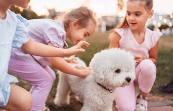Visitas de Semana Santa sin estrés: cómo ayudar a tu perro o gato cuando la casa se llena.