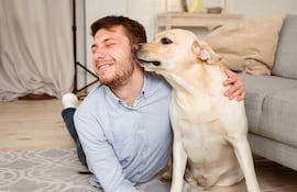 ¿Cómo hacen los perros para detectar enfermedades como la diabetes o el cáncer?