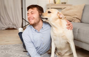 ¿Cómo hacen los perros para detectar enfermedades como la diabetes o el cáncer?