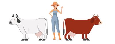 Lucía ordeñó dos vacas.