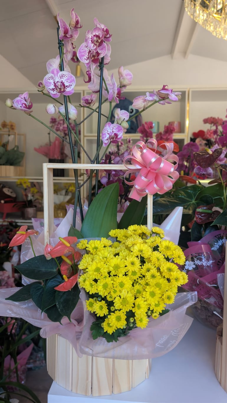Flores de todos los colores llenan de vida y alegría los viveros de Cabañas.