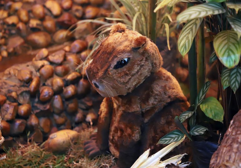 La figura del 2025 para el pesebre de los Sabaté es el carpincho o capibara que se suma a las 120 piezas que tiene la puesta.
