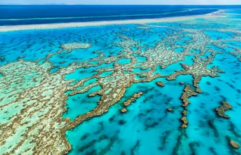 Gran Barrera de Coral, Australia.